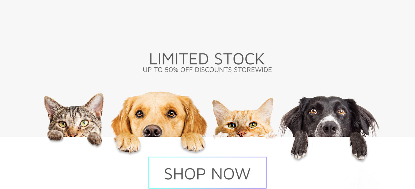 MisterPaw Store Banner